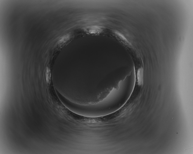 X0000085221443200703091150