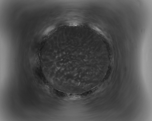 X0000085221446200703091150