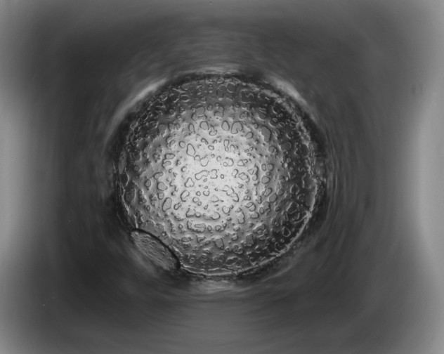X0000085221448200703091150