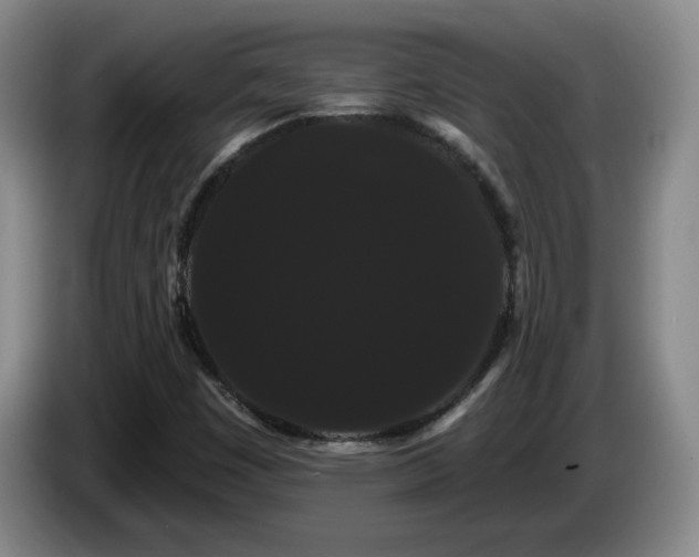 X0000085221449200703091150