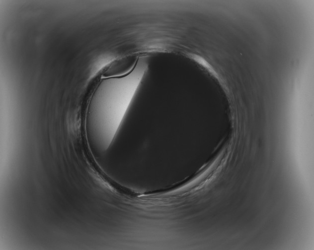 X0000085221450200703091150