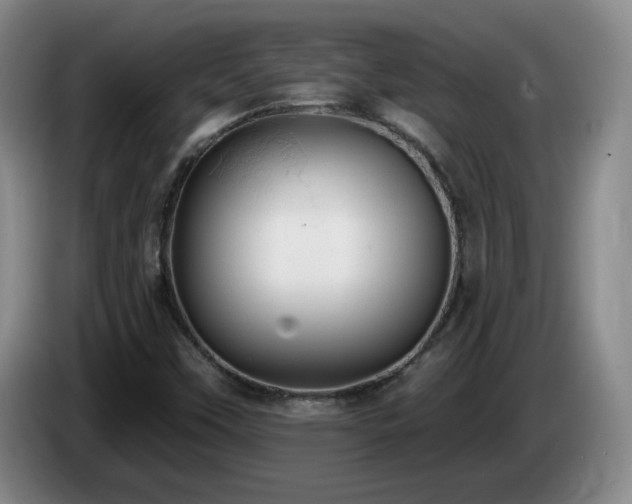 X0000085221451200703091150