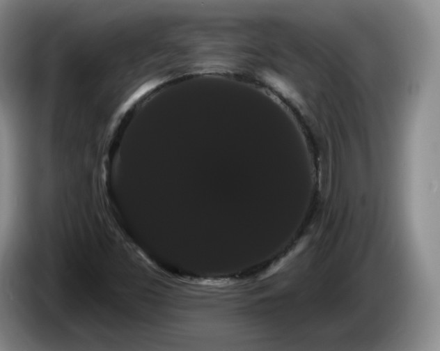 X0000085221453200703091150