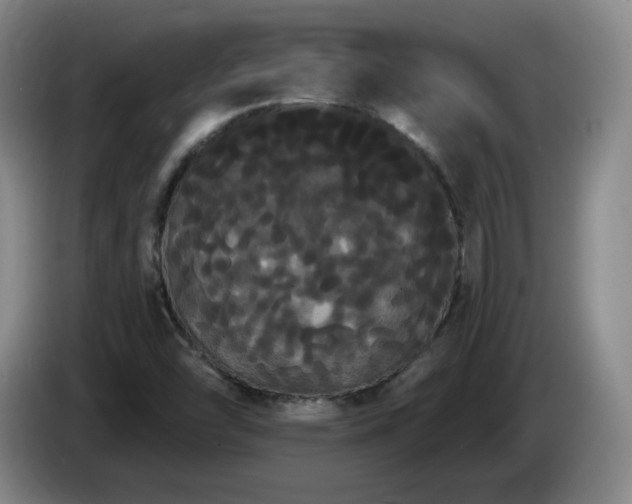 X0000085221454200703091150