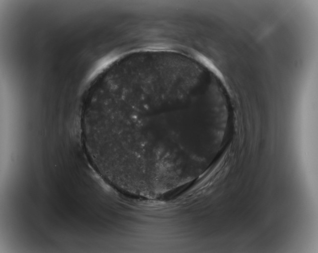 X0000085221456200703091150