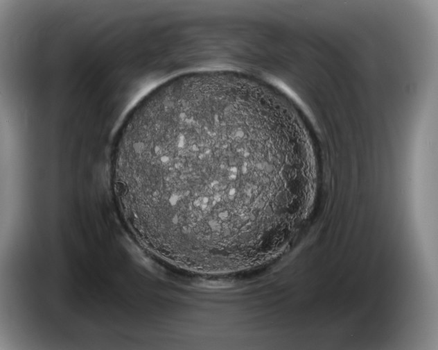 X0000085221460200703091149