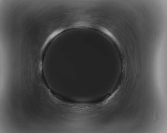 X0000085221461200703091149