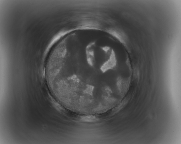 X0000085221462200703091149