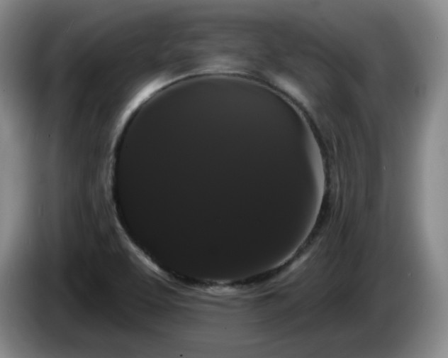 X0000085221463200703091149