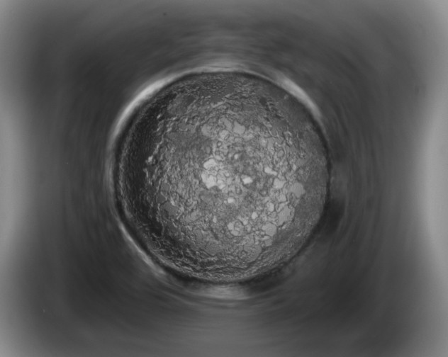 X0000085221464200703091149
