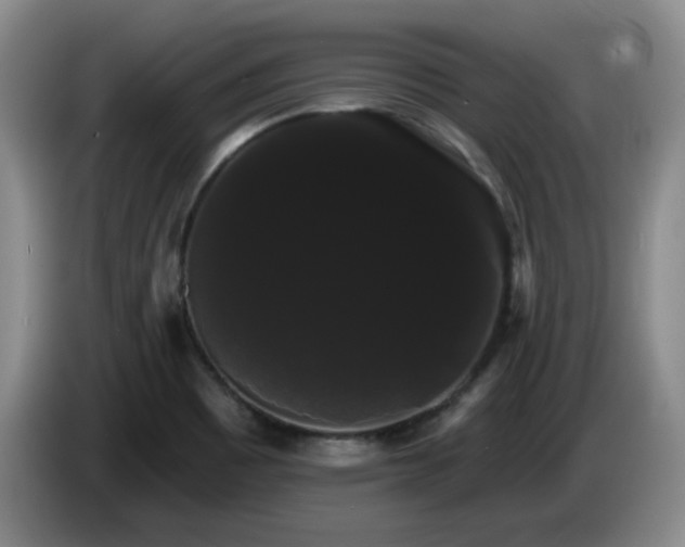 X0000085221465200703091149