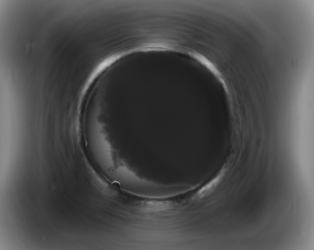 X0000085221469200703091149