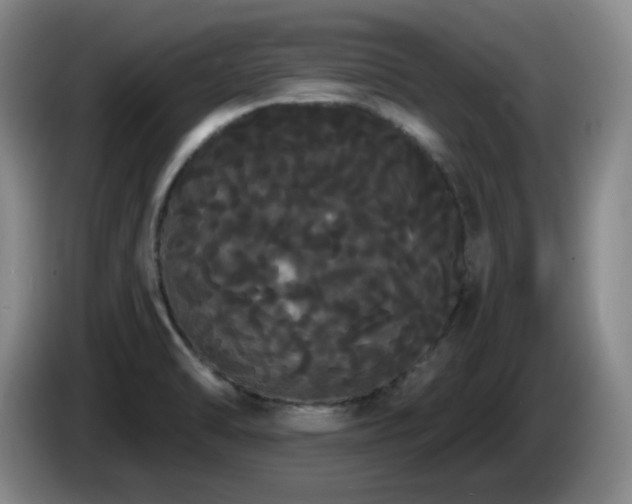 X0000085221470200703091149
