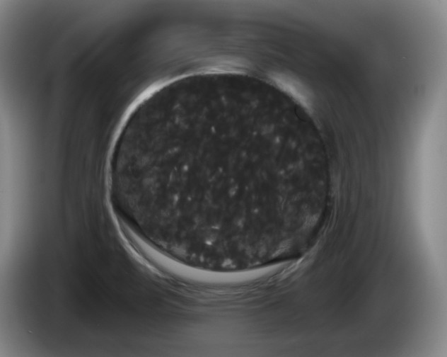 X0000085221471200703091149