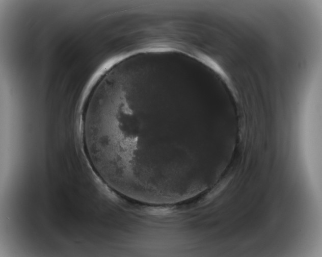 X0000085221472200703091149