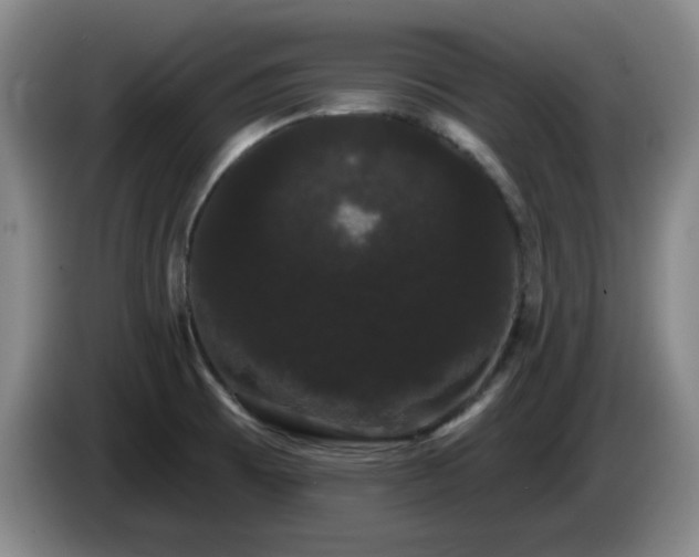 X0000085221473200703091149