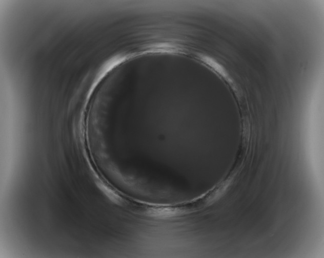 X0000085221474200703091149