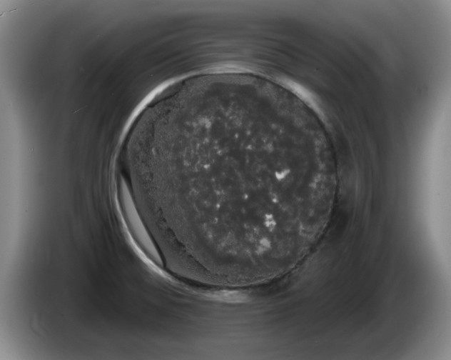 X0000085221476200703091149