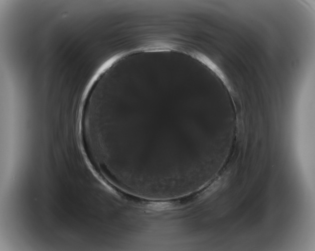 X0000085221477200703091149