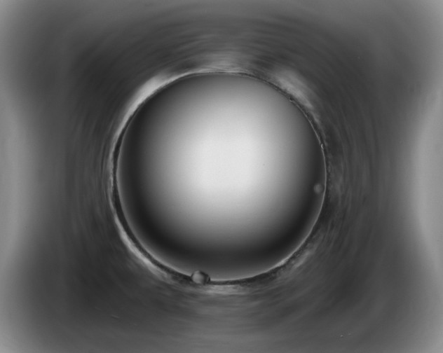 X0000085221479200703091149