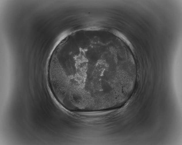 X0000085221483200703091149