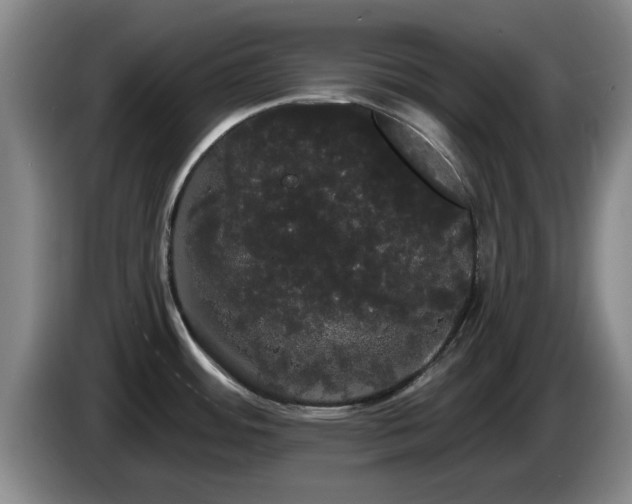 X0000085221484200703091149