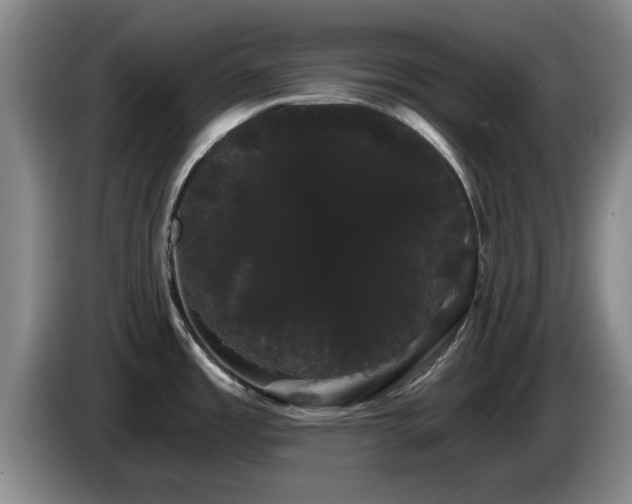 X0000085221485200703091149
