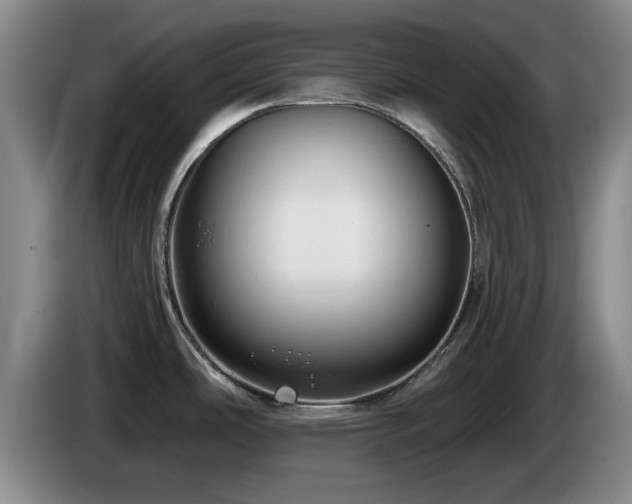 X0000085221486200703091149