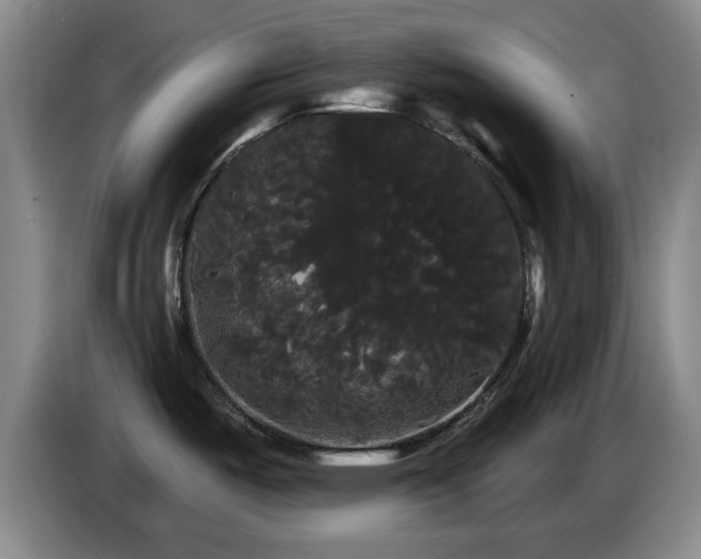 X0000085221487200703091149