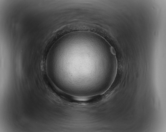 X0000085221490200703091148