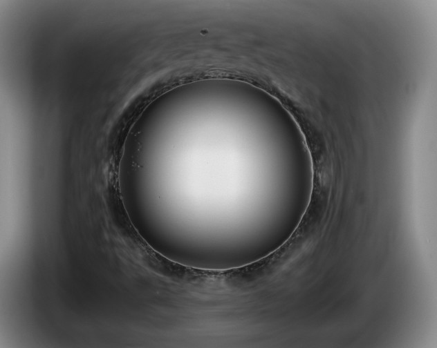 X0000085221495200703091149