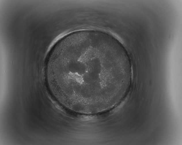 X0000085221501200703091149