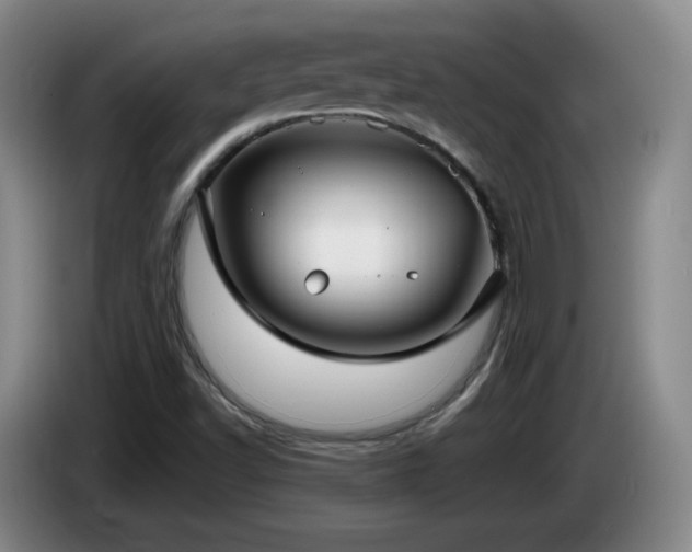 X0000085221502200703091149