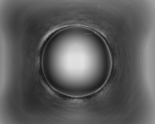 X0000085221503200703091149