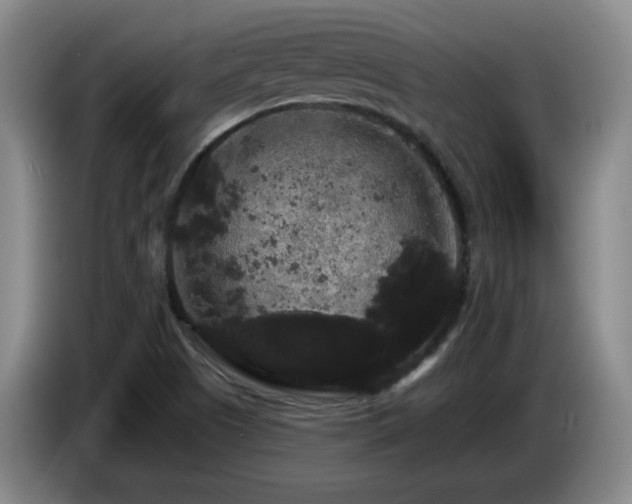 X0000085221505200703091149