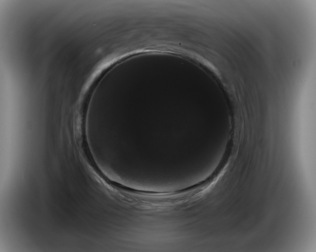 X0000085221506200703091149