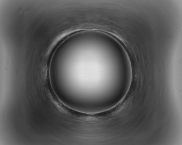 X0000085221507200703091149