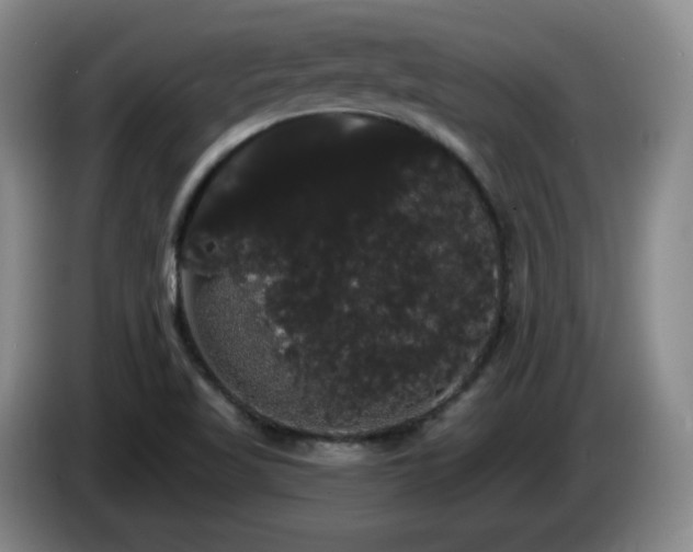 X0000085221509200703091149