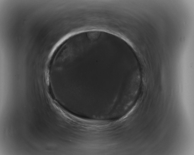 X0000085221510200703091149