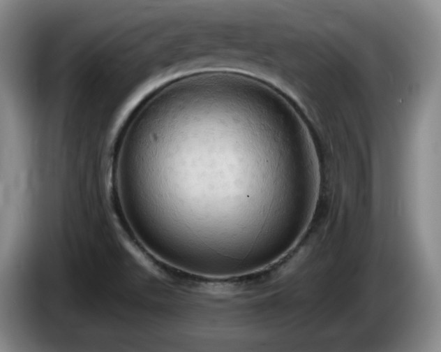 X0000085221511200703091149