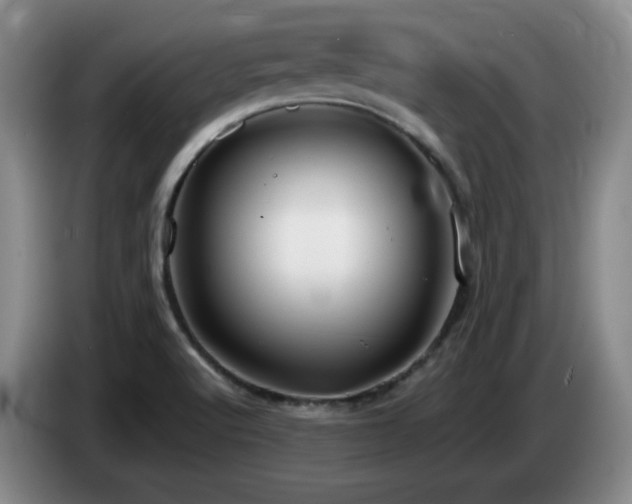 X0000085221512200703091149