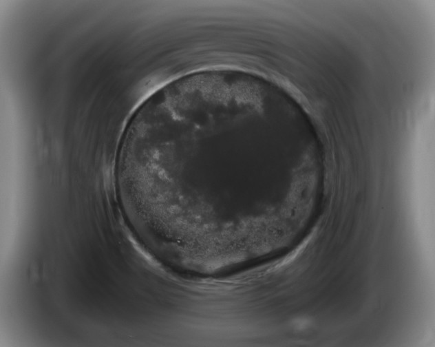 X0000085221513200703091149