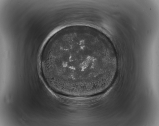 X0000085221517200703091149