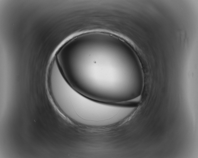 X0000085221518200703091149