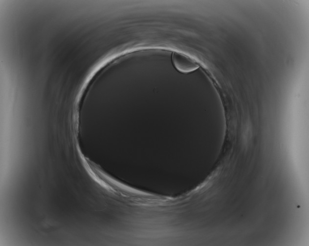 X0000085221519200703091149