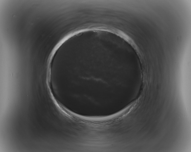 X0000085221520200703091149