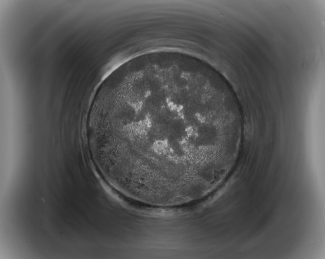 X0000085221521200703091149
