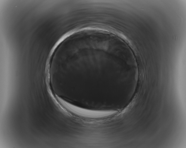 X0000085221522200703091149