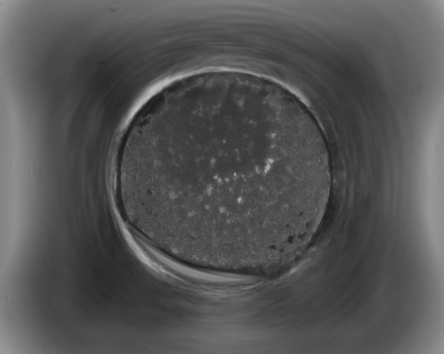 X0000085221523200703091149