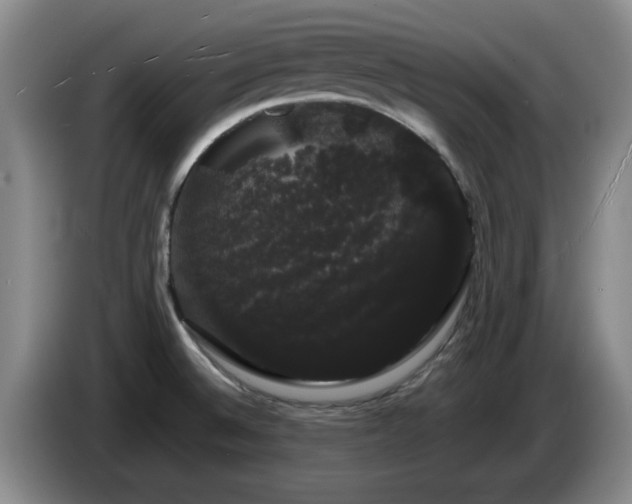 X0000085221524200703091149